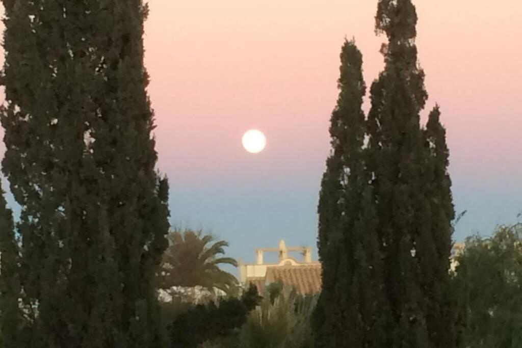 Privates Ferienhaus Villa De Paz - Costa Blanca Орихуела Екстериор снимка